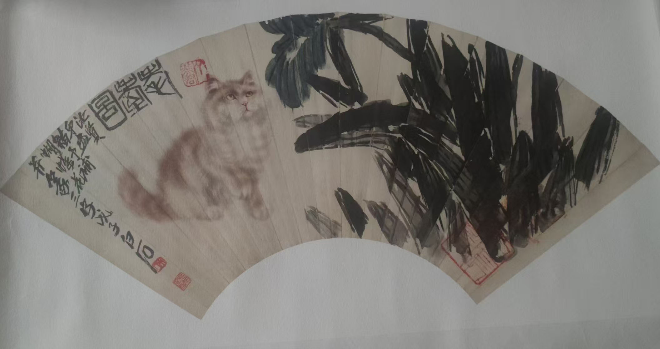 齐白石扇面猫-国博文物
