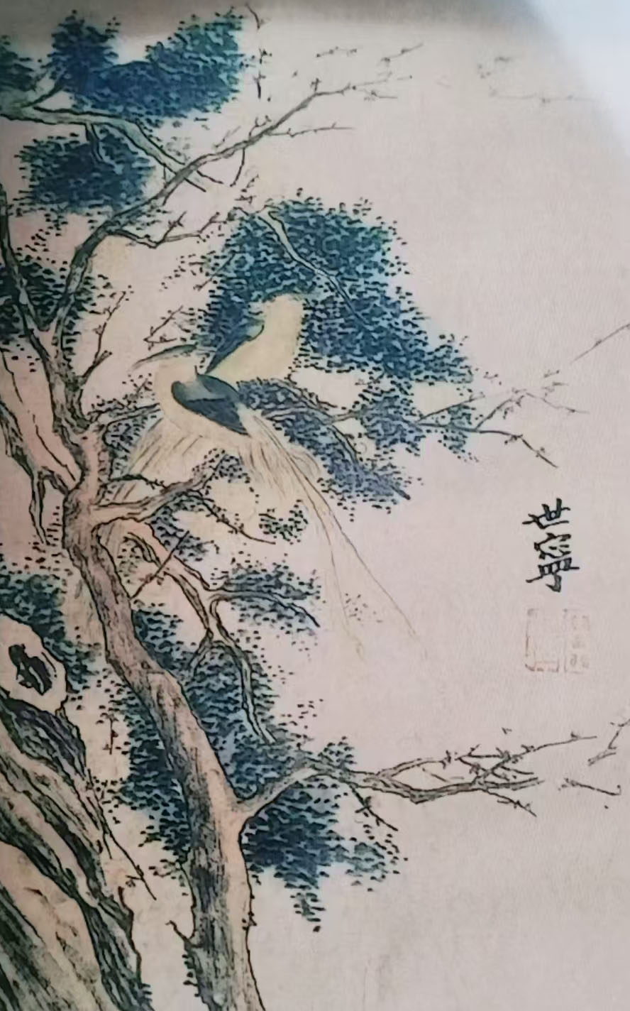 郎世宁花鸟-国博文物