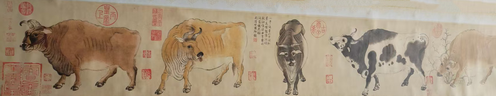 韩滉五牛图-国博文物