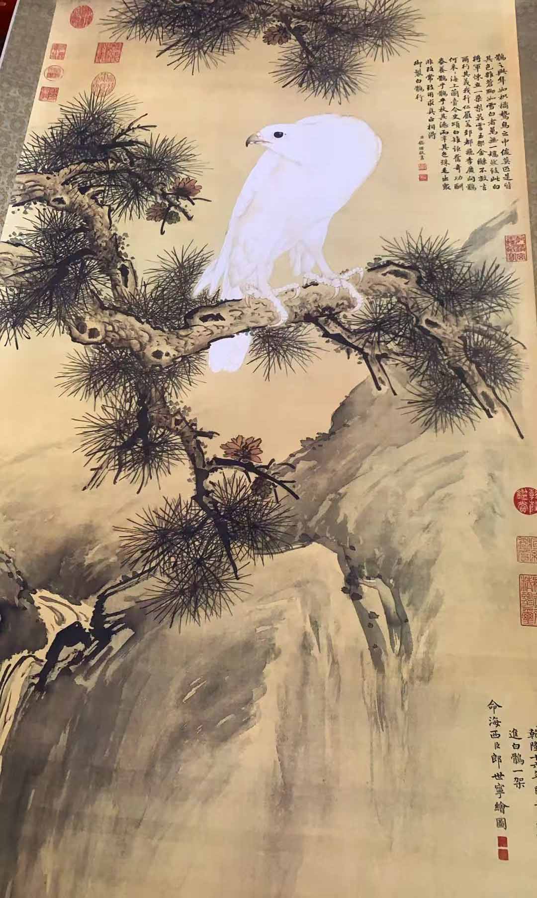 郎世宁鹰-国博文物