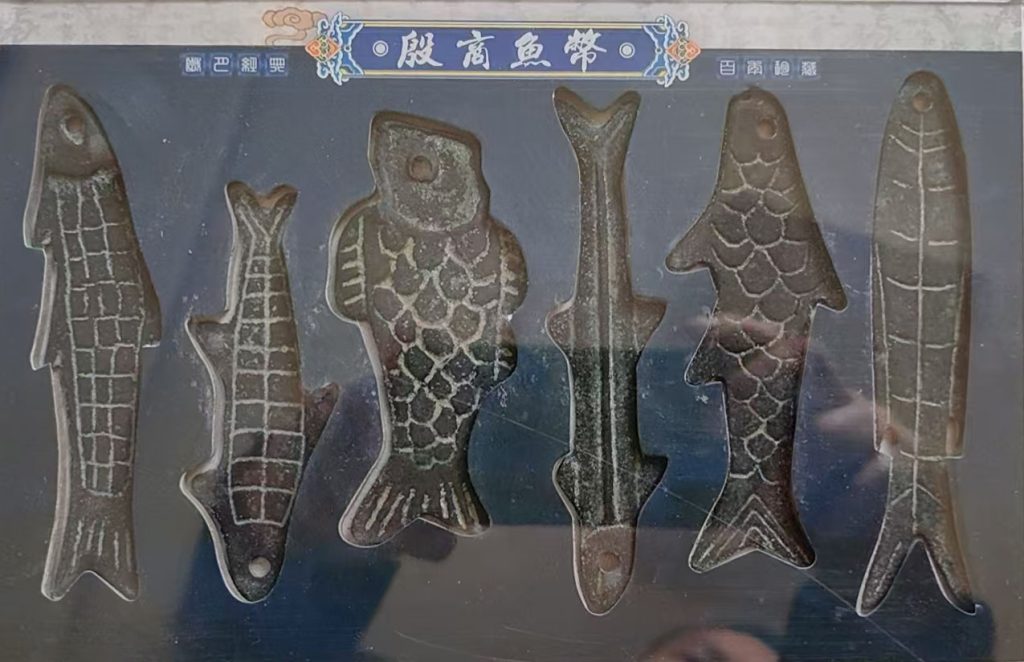 图片[1]-殷商鱼币-国博文物